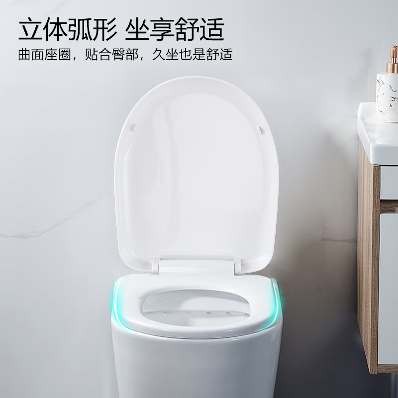 莱尔诗丹马桶盖板 通用 优质马桶盖板加厚坐便器U型座便盖 加厚缓降U型U01