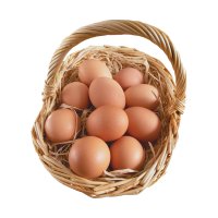 鲜禾鲜 土鸡蛋30枚 30枚柴鸡蛋 鸡蛋礼盒