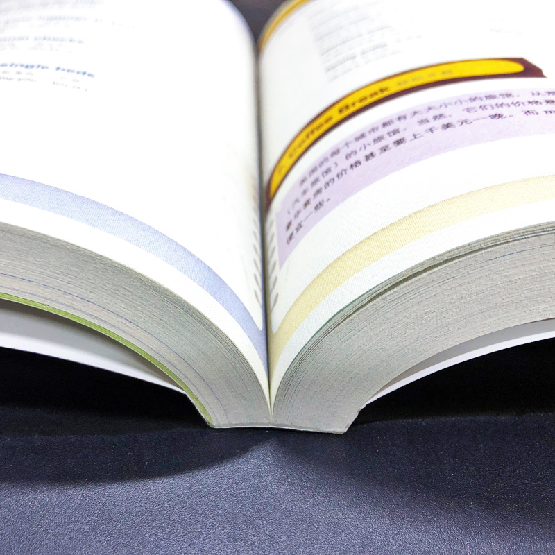 [正版]会中文就会说英文书籍的书三年级四五六英语口语日常对话零基础英语自学入门学英语的书商务会说中文就会说英语初高中小学高清大图