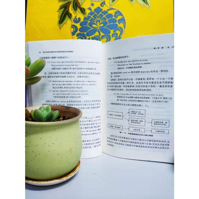 醉染图书词汇类型学视角的汉语物理属形容词研究9787547516317高清大图