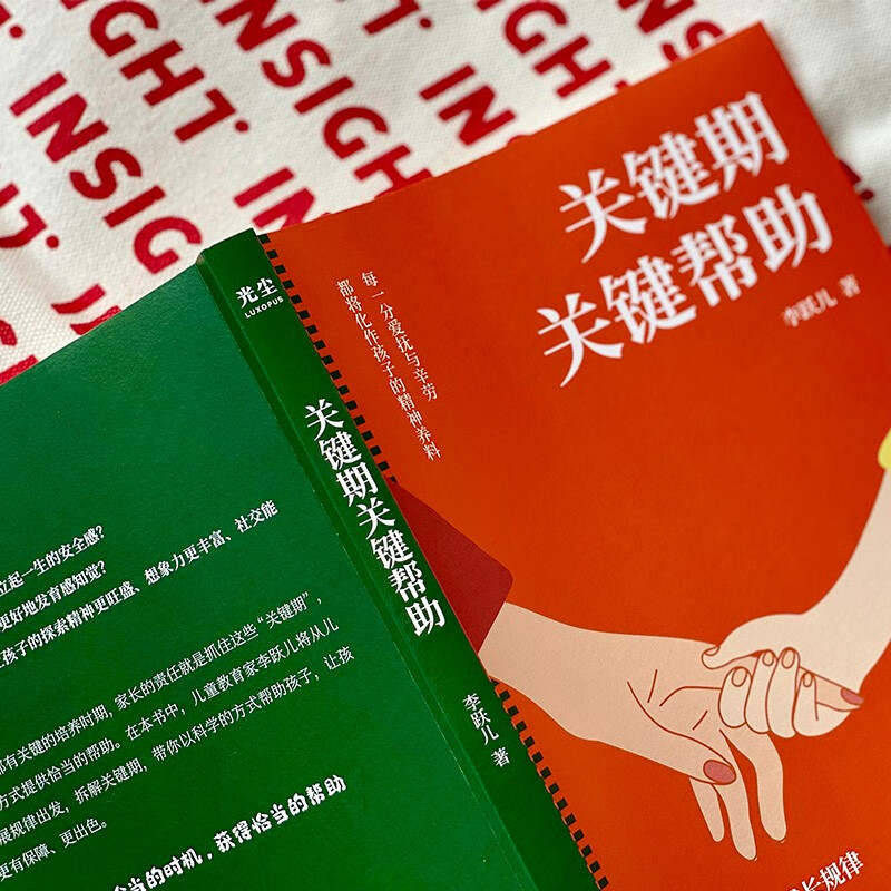 关键期关键帮助 [正版]关键期关键帮助 李跃儿 著 教育孩子书籍 如何捕捉孩子敏感时期 孩子成长的秘密 育儿父母早教书家高清大图