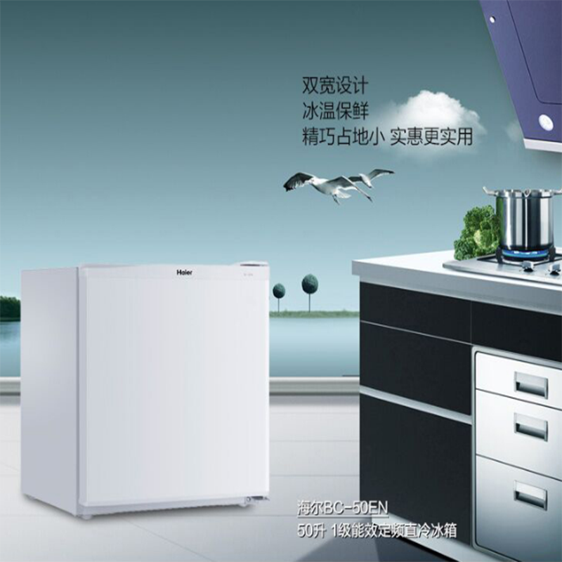 海尔(Haier)冰箱BC-50EN单门迷你冰箱白色50L