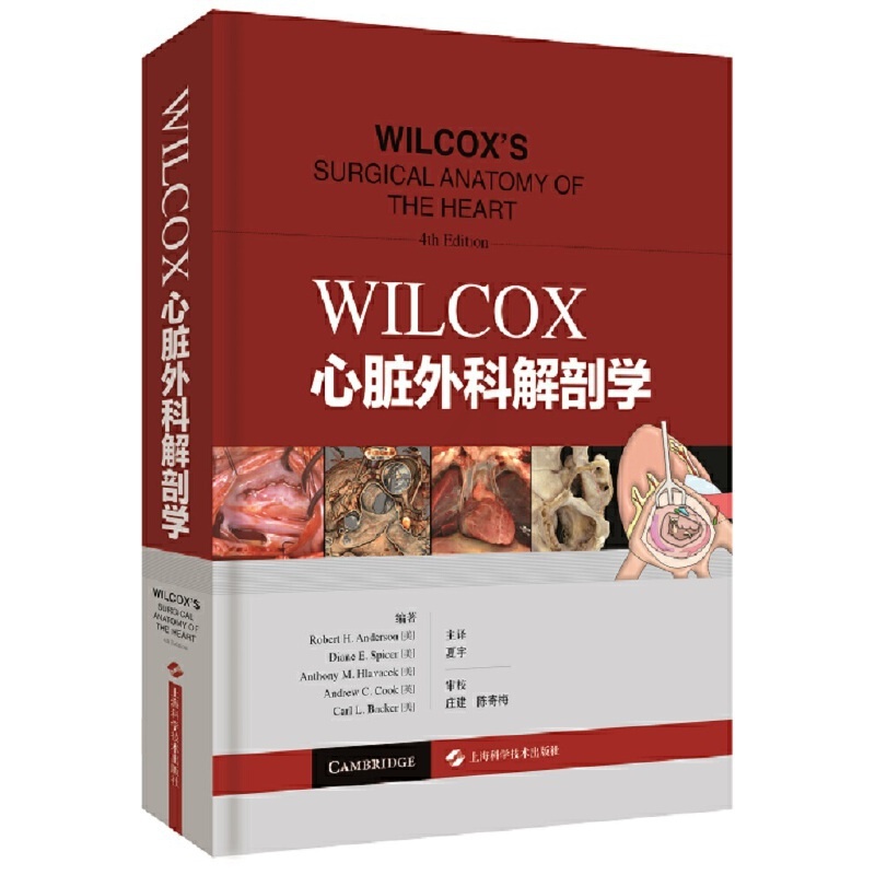 [正版]书WILCOX心脏外科解剖学 心脏外科解剖类图书中的经典著作高清大图