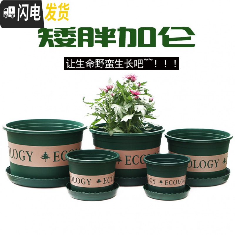 三维工匠塑料玫瑰盆栽花肉肉绿萝月季专用加伦树脂家用特大号超大加仑花 [3个盆]+彩虹石2斤 矮胖7.6L(口径2花盆容器高清大图