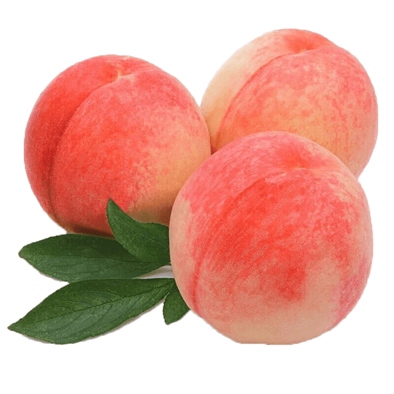 鲜木 露天水蜜桃 新鲜应季水果 脆甜毛桃 时令孕妇水果 春雪水蜜桃 大