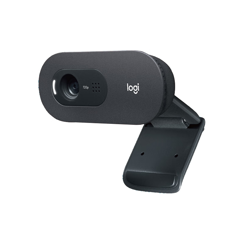 罗技(Logitech) 高清摄像头 C505e高清大图