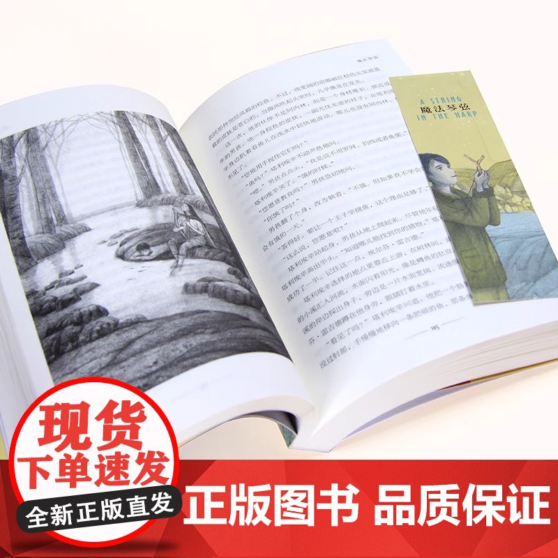 [央视网]长青藤国际大奖小说 魔法琴弦 10-14周岁 小学生课外书 五六年级课外阅读 儿童故事读物图书籍 儿童成长校园高清大图