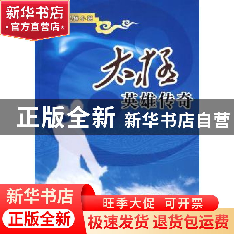 正版 太极英雄传奇:长篇传记体小说 柯兴著 中国青年出版社高清大图