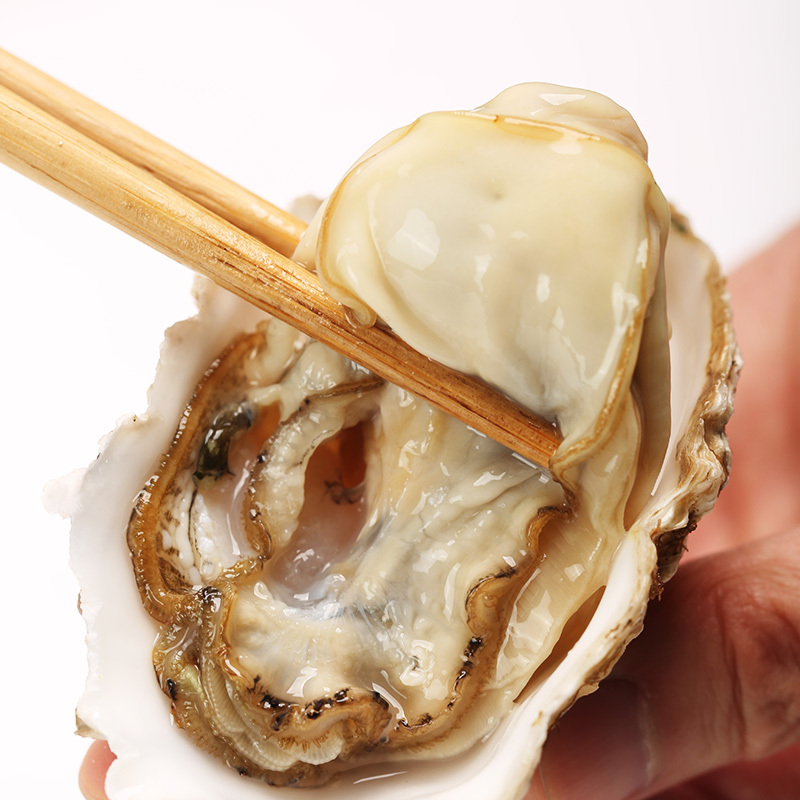 [鲜活]WECOOK 味库鲜活乳山生蚝 海蛎烧烤食材 净4.5斤装200-150g/只(约11-15只)