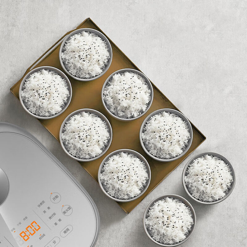 苏泊尔(SUPOR)电饭煲电饭锅4L SF40FC99 星空灰高清大图