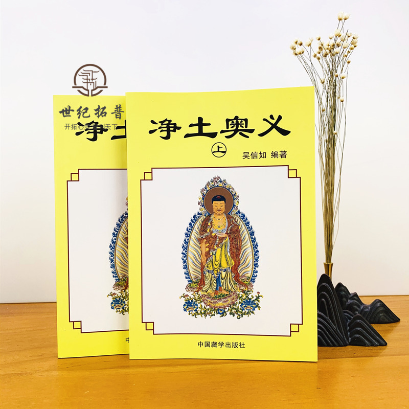[正版] 净土奥义(上下)吴信如/唐密东密净土五经述要净土演坛阿弥陀经无量寿经观无量寿经鼓音声王陀罗尼经无量印法门经