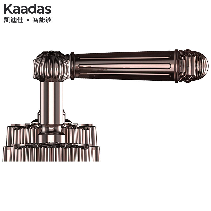 Kaadas凯迪仕家用防盗门锁 指纹密码锁 智能锁 复古别墅门锁 6002 青古铜