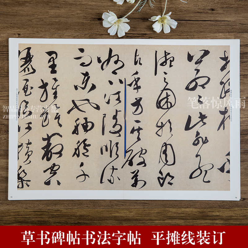 [正版]文徵明草书前赤壁赋 第九集彩色放大本中国碑帖 繁体旁注草书法帖毛笔书法字帖 孙宝文编 上海辞书出版社高清大图