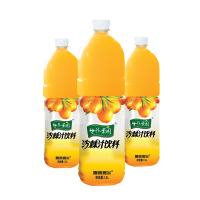 厦普赛尔(SPSE) DT 夏普赛尔1.5L沙棘汁6瓶箱 68885