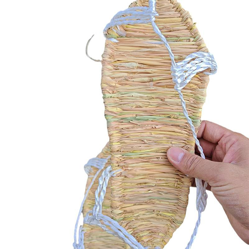 阿祺果 草鞋 AC5 双高清大图