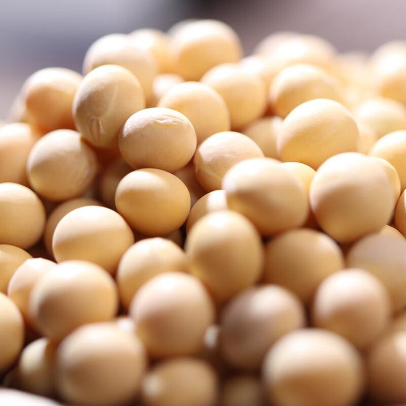 燕之坊黄豆色泽金黄大小饱满颗粒均匀豆香浓郁呼伦贝尔系列345g高清大图