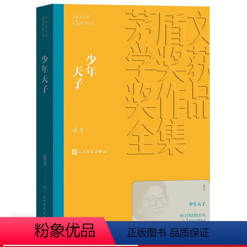 [正版] 少年天子 茅盾文学奖获奖作品全集 平装 凌力 人民文学出版社