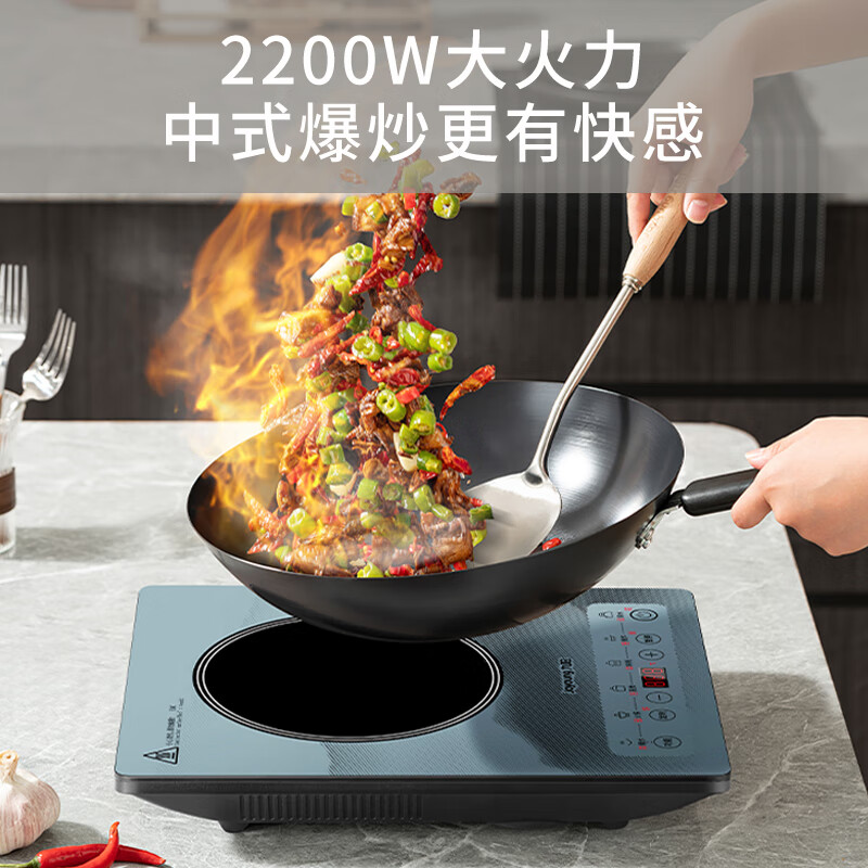 九阳(Joyoung)炫彩系列 电磁炉电磁灶2200W大功率触控按键耐用面板智能定时多功能 C22S-N516单机版高清大图