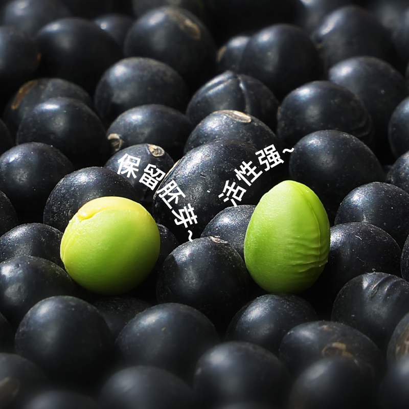有机绿仁黑豆(罐装900g)高清大图