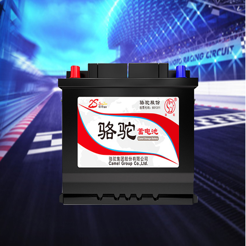 骆驼蓄电池 6-QW-100 100A