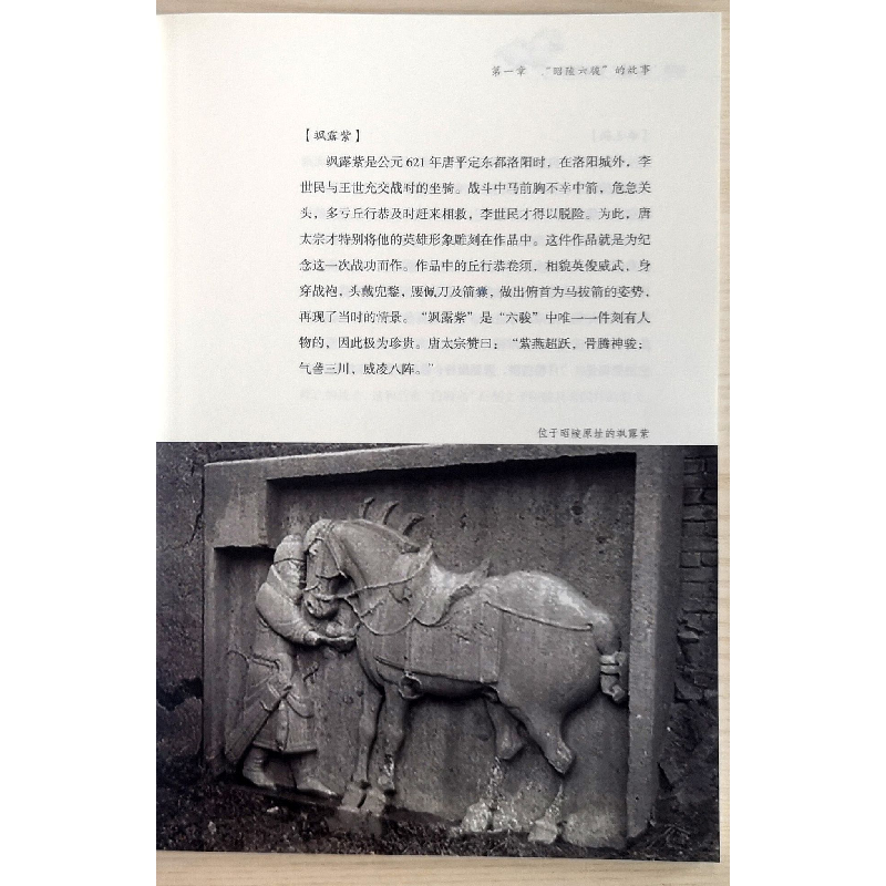 诺森昭陵二骏修复实录周萍编著9787536836891陕西人民美术出版社高清大图