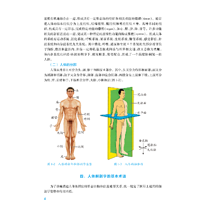 醉染图书解剖学基础(第4版/中职基础课/配增值)9787117343817高清大图