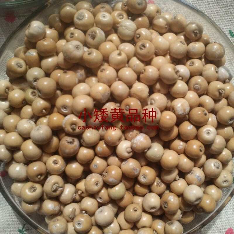 [珠坊]珠子枕头枕芯保护颈椎枕头学生枕头凉枕矮黄中号珠14斤枕头32*63cm