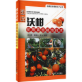 图说沃柑优质高效栽培技术