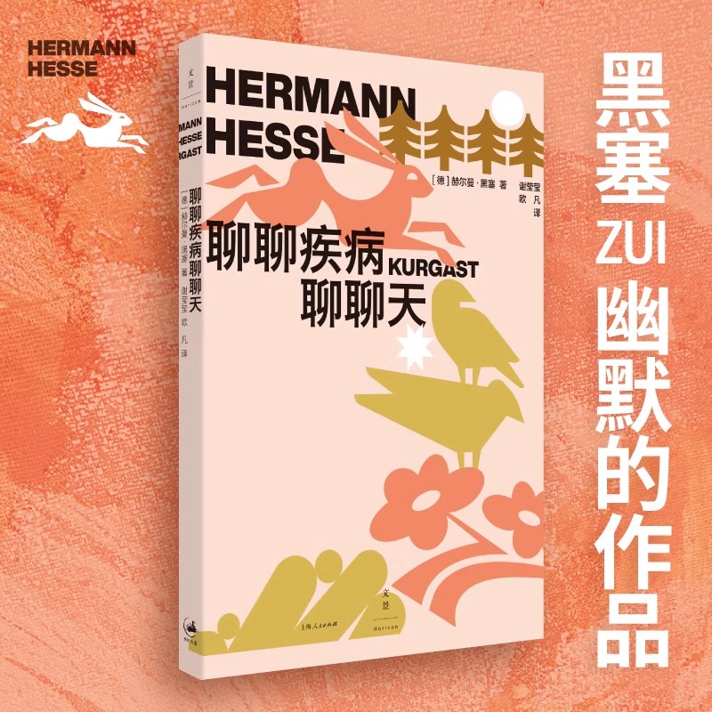 聊聊疾病聊聊天 [正版]聊聊疾病聊聊天 2024百班千人暑期书目赫尔曼黑塞名著世纪文景文学散文诺贝尔文学奖得主德国散文图高清大图