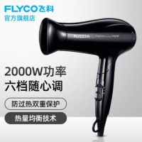 飞科(FLYCO)电吹风机 家用静音吹风筒旅行折叠便携式冷热风吹风筒FH6231