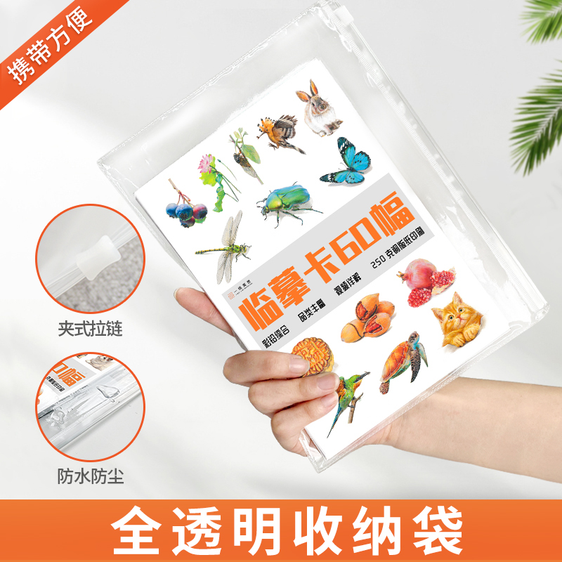[正版]彩铅临摹卡综合篇60幅 一线美誉步骤对应视频详解美术绘画卡片兴趣高清原创