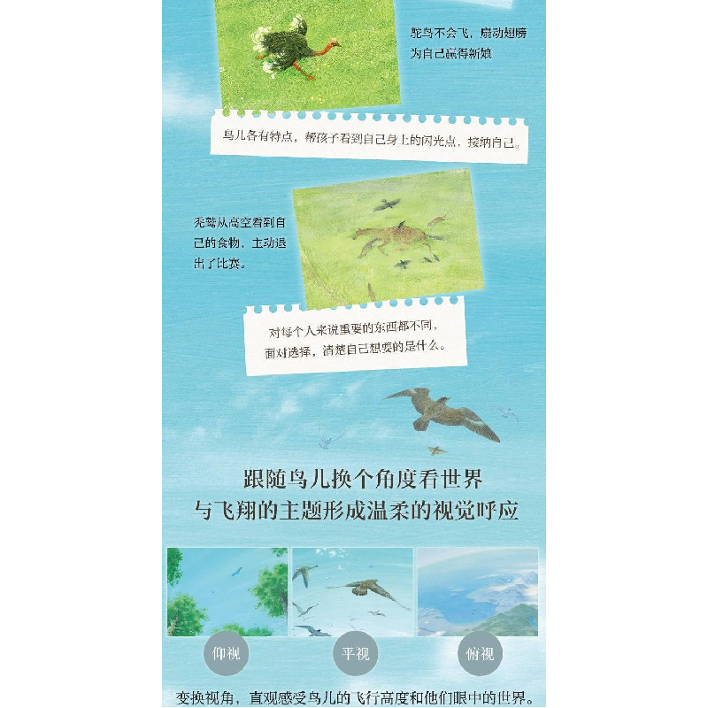 正版新书]桃雀与鹰(英)珍•古道尔9787558418402高清大图