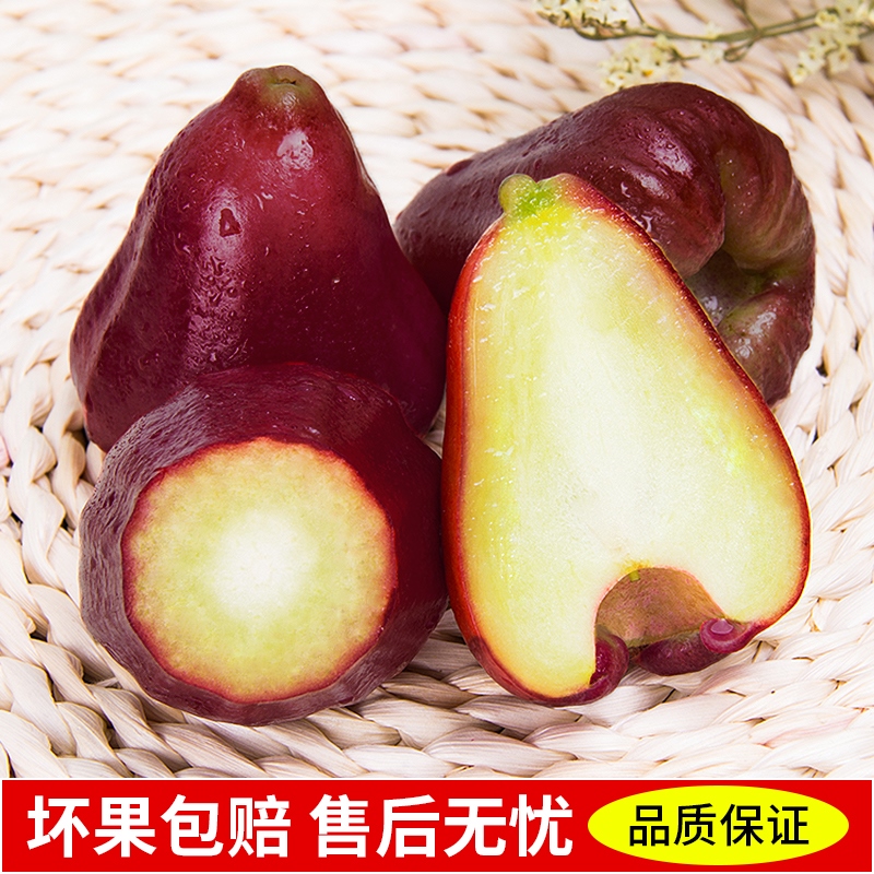 [西沛生鲜]海南黑金刚莲雾 热带水果 大果 净重4.5斤 单果80-120g 当季水果 现摘现发 清甜爽口高清大图