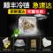 [全母蟹]一对活宝 大闸蟹 鲜活螃蟹母3.0-3.2两/只 8只礼盒装