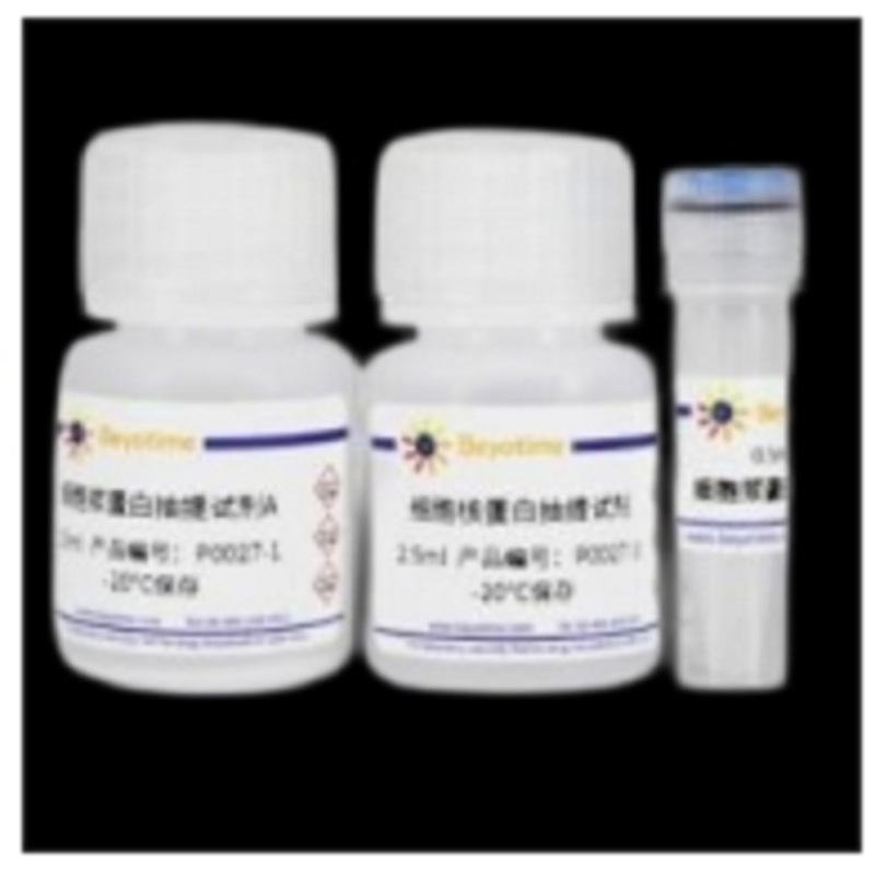 Beyotime RIPA裂解液(强中弱套装) P0013E