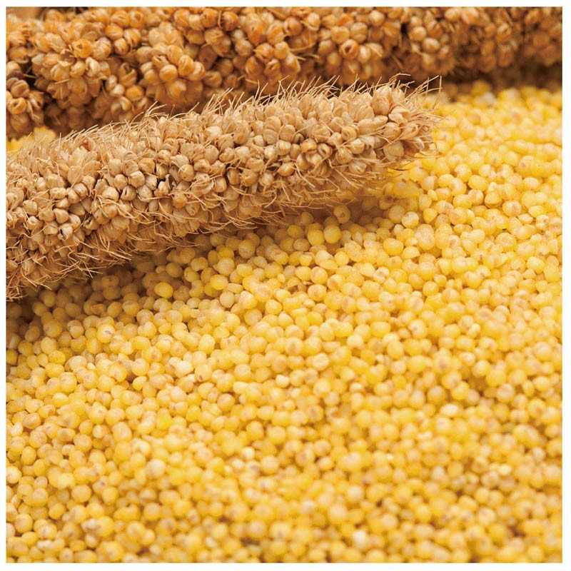 金龙鱼爱心桃花小米 2.25kg