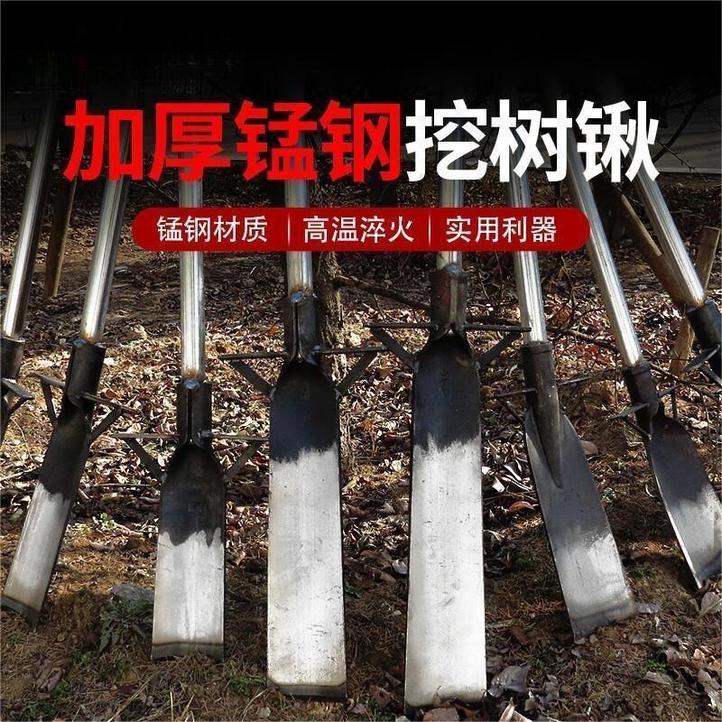 工霸 锰钢加厚挖树植苗铲洛阳起苗移植工具挖树根挖土沟地农用铁锹 长35cm*宽8cm 直柄 1把