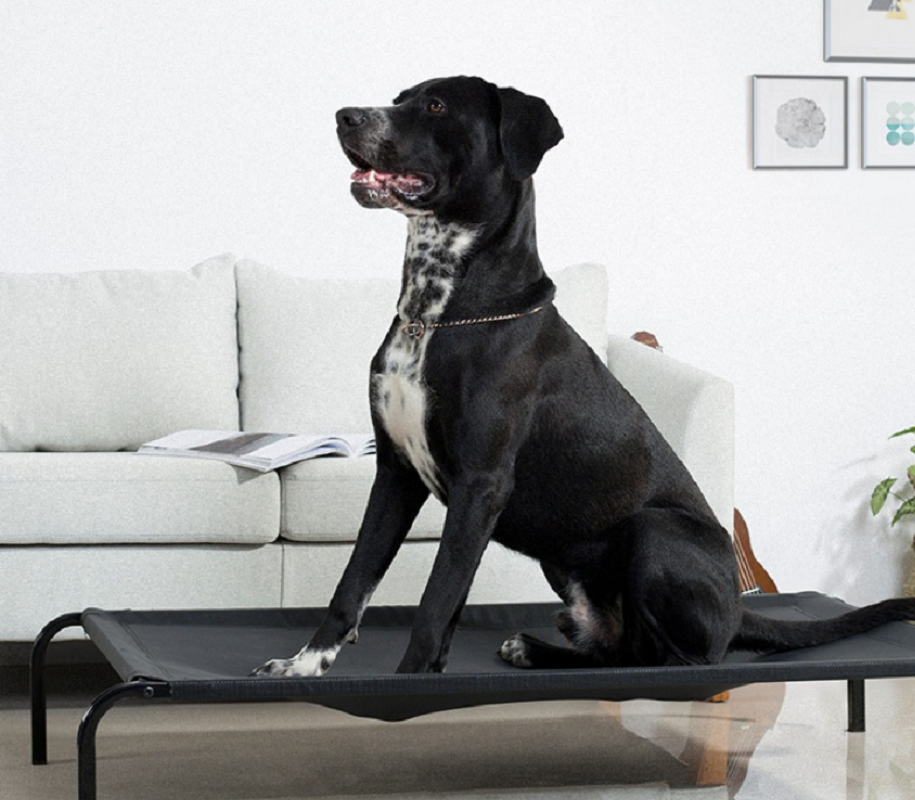 狗狗行军床特价沙发床宠物家具床铁艺狗床大型犬狗窝狗床四季通用高清大图