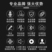 奔腾(BNTN)家庭音响KTV音响 家庭影院套装 卡拉OK 会议专业音箱大功率功放 8150配BTKT10