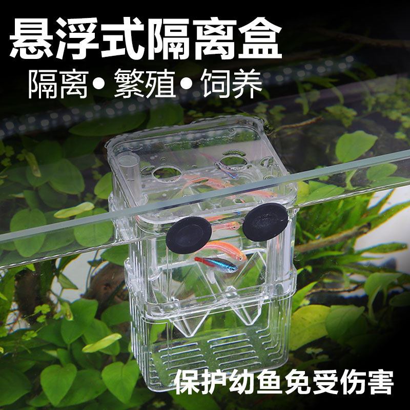 孔雀鱼繁殖盒幼鱼鱼缸隔离斗鱼孵化器热带鱼鱼苗产卵器高清大图