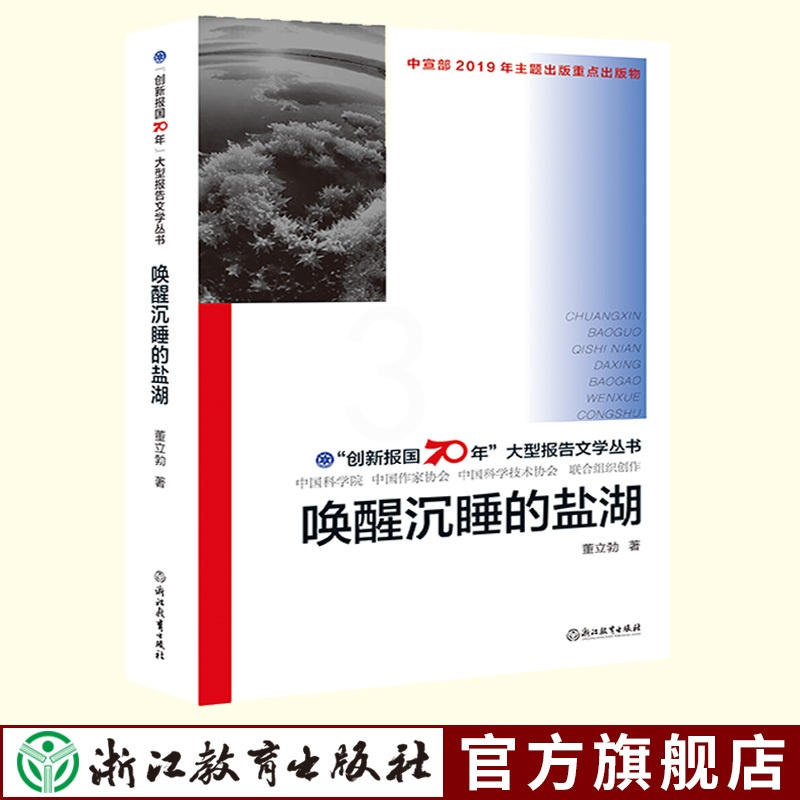 [正版]唤醒沉睡的盐湖 创新报国70年大型报告文学丛书 董立勃 盐湖科技工作者的故事 原创纪实性报告文学人文历史书籍浙高清大图