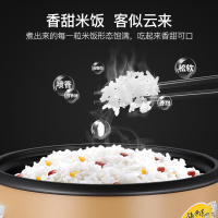 荣事达(Royalstar)商用电饭锅RZ-190E全自动电饭煲19L容量酒店食堂大饭锅大饭煲黑晶内胆不粘锅