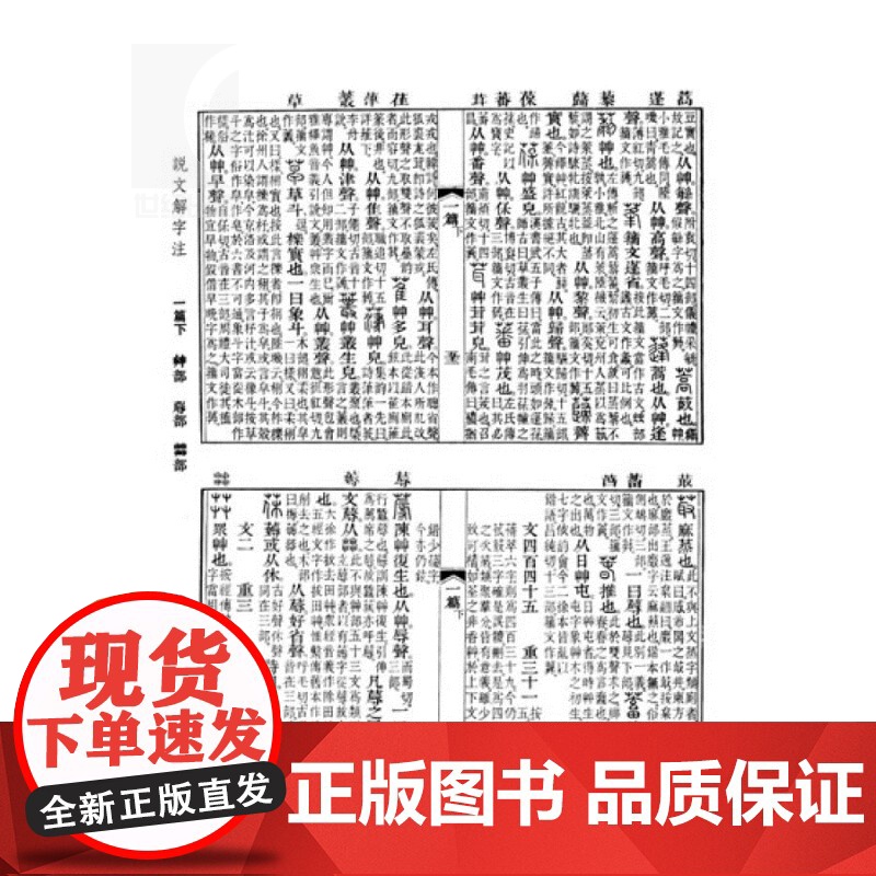 说文解字注 中国文化语言工具书分析研究 字体解析 (清)段玉裁 著 许慎撰 工具书 语言文字 正版图书籍 上海古籍出版社高清大图