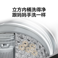 美的(Midea)洗衣机8KG公斤大容量 家用全自动洗衣机波轮洗衣机 MB80V33B 官方旗舰正品