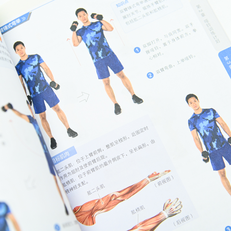 正版新书】一对哑铃练全身人邮体育编写组 编9787115553751
