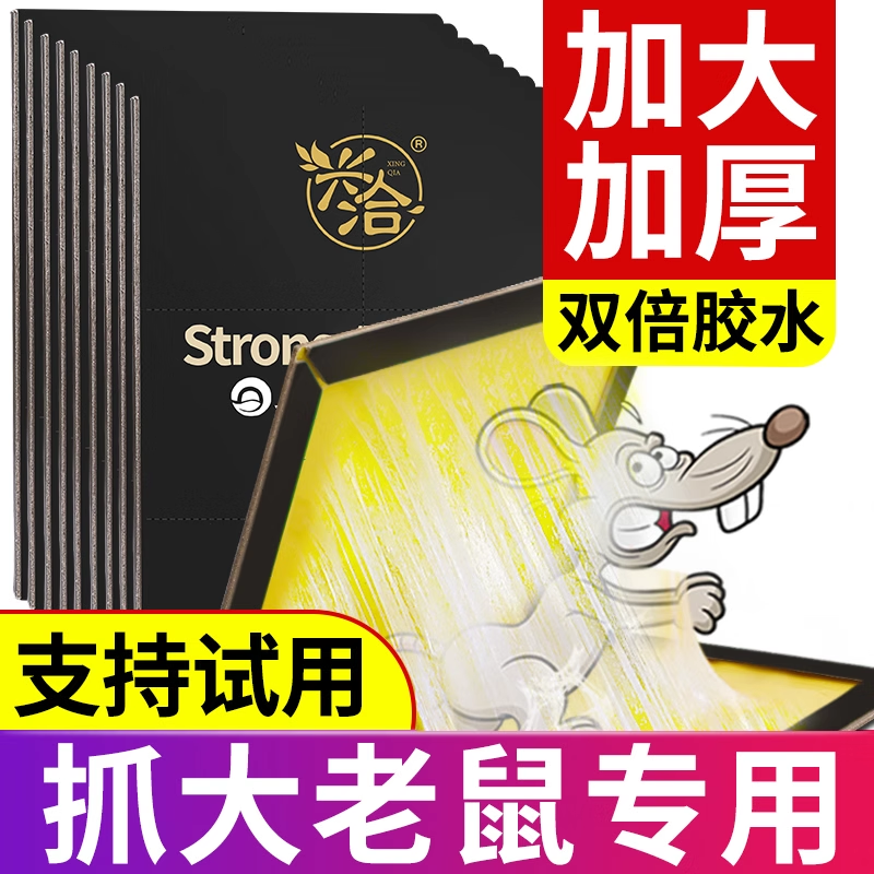 兴洽粘鼠板10枚高清大图