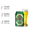 青岛啤酒 (TSINGTAO) 经典(11度)330ml*6罐 组合装国产啤酒