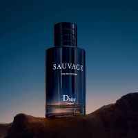 迪奥（Dior）旷野男士浓香水2018新品 60ml 男士香水 法国正品直邮