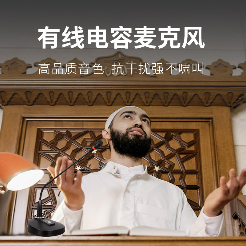 润普Runpu 会议音频扩声系统 专业有线电容麦克风会议话筒 会议演讲主持鹅颈麦RP-S-DYX501高清大图