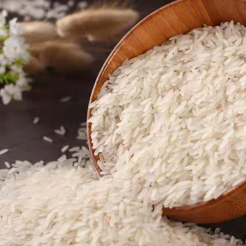 柬自然原装进口柬埔寨茉莉香米5kg